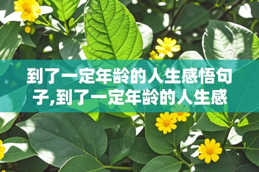 到了一定年龄的人生感悟句子,到了一定年龄的人生感悟短句