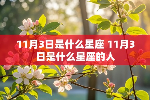 11月3日是什么星座 11月3日是什么星座的人