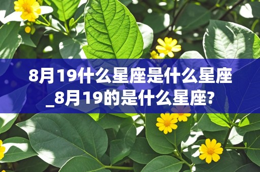 8月19什么星座是什么星座_8月19的是什么星座?