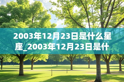 2003年12月23日是什么星座_2003年12月23日是什么星座?