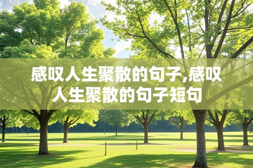 感叹人生聚散的句子,感叹人生聚散的句子短句