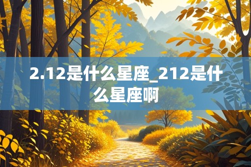 2.12是什么星座_212是什么星座啊