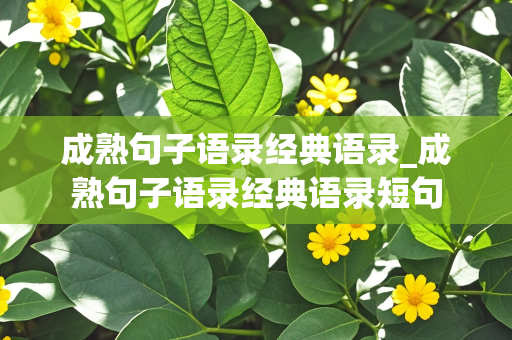 成熟句子语录经典语录_成熟句子语录经典语录短句