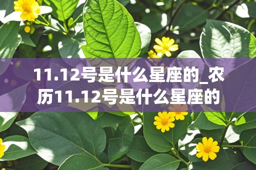 11.12号是什么星座的_农历11.12号是什么星座的