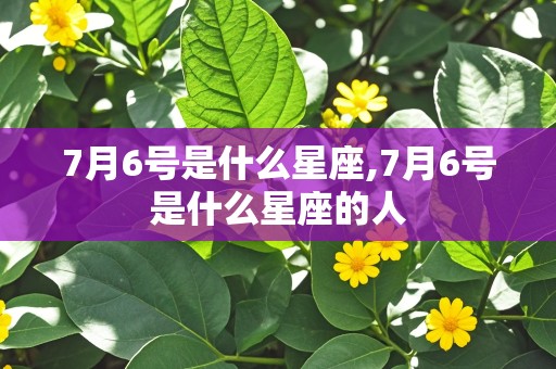 7月6号是什么星座,7月6号是什么星座的人