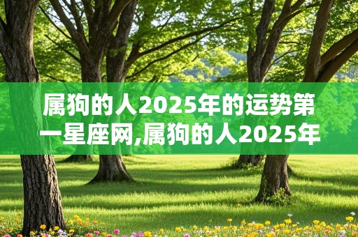 属狗的人2025年的运势第一星座网,属狗的人2025年的运势及运程