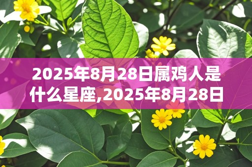 2025年8月28日属鸡人是什么星座,2025年8月28日属鸡人是什么星座呢