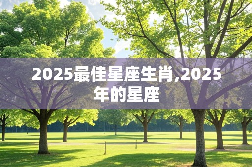 2025最佳星座生肖,2025年的星座