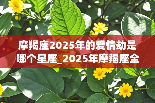 摩羯座2025年的爱情劫是哪个星座_2025年摩羯座全年运势详解