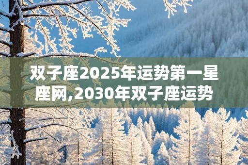 双子座2025年运势第一星座网,2030年双子座运势