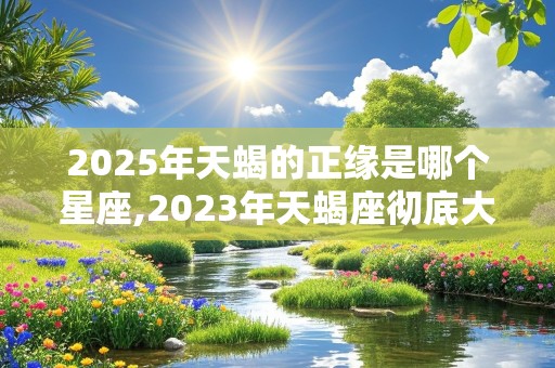 2025年天蝎的正缘是哪个星座,2023年天蝎座彻底大爆发