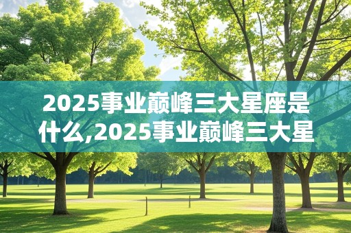 2025事业巅峰三大星座是什么,2025事业巅峰三大星座是什么意思