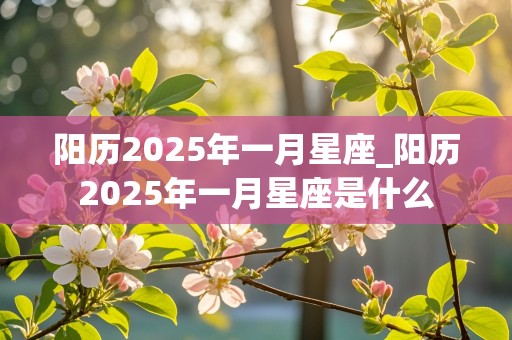 阳历2025年一月星座_阳历2025年一月星座是什么