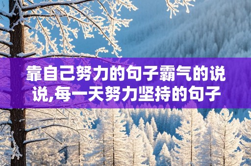 靠自己努力的句子霸气的说说,每一天努力坚持的句子