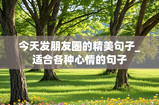 今天发朋友圈的精美句子_适合各种心情的句子