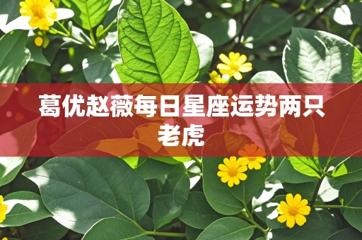 葛优赵薇每日星座运势两只老虎