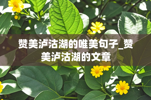 赞美泸沽湖的唯美句子_赞美泸沽湖的文章