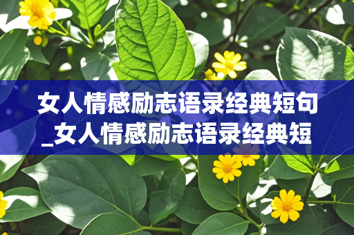 女人情感励志语录经典短句_女人情感励志语录经典短句图片