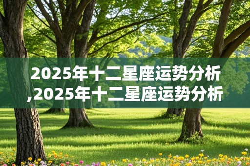 2025年十二星座运势分析,2025年十二星座运势分析图