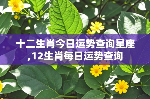 十二生肖今日运势查询星座,12生肖每日运势查询