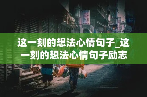 这一刻的想法心情句子_这一刻的想法心情句子励志