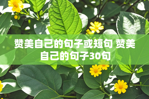 赞美自己的句子或短句 赞美自己的句子30句