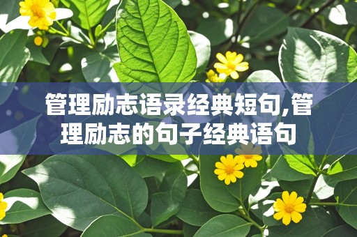 管理励志语录经典短句,管理励志的句子经典语句