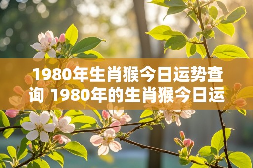 1980年生肖猴今日运势查询 1980年的生肖猴今日运势