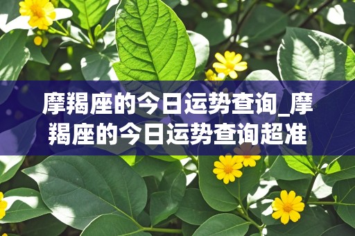 摩羯座的今日运势查询_摩羯座的今日运势查询超准