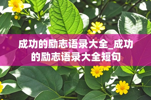 成功的励志语录大全_成功的励志语录大全短句