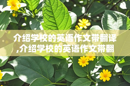 介绍学校的英语作文带翻译,介绍学校的英语作文带翻译简单