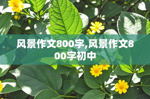 风景作文800字,风景作文800字初中