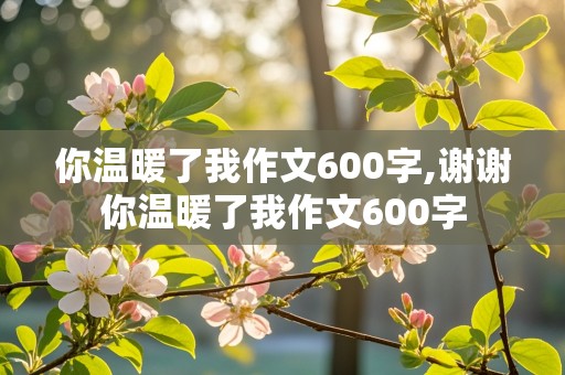 你温暖了我作文600字,谢谢你温暖了我作文600字