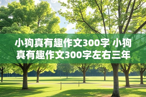 小狗真有趣作文300字 小狗真有趣作文300字左右三年级