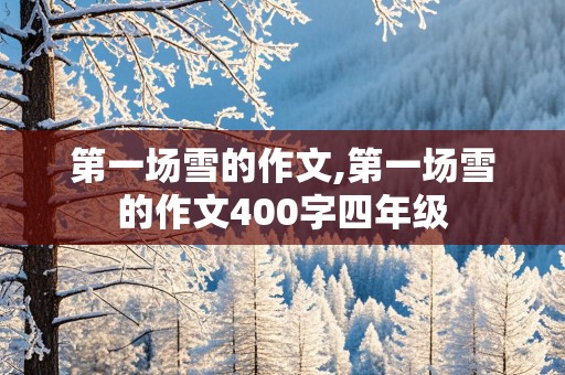 第一场雪的作文,第一场雪的作文400字四年级