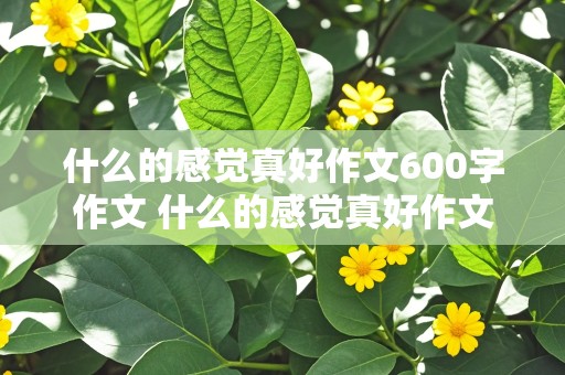 什么的感觉真好作文600字作文 什么的感觉真好作文600字作文六年级