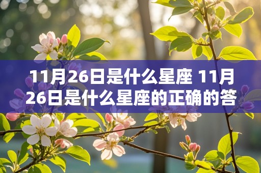 11月26日是什么星座 11月26日是什么星座的正确的答案