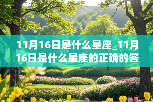 11月16日是什么星座_11月16日是什么星座的正确的答案