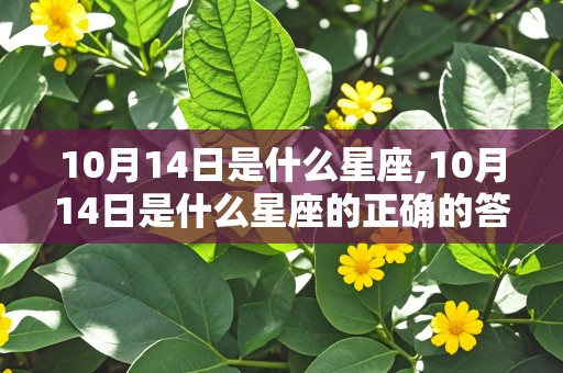 10月14日是什么星座,10月14日是什么星座的正确的答案