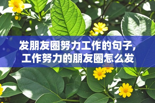 发朋友圈努力工作的句子,工作努力的朋友圈怎么发