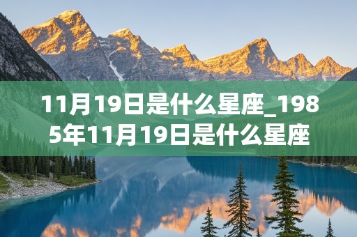 11月19日是什么星座_1985年11月19日是什么星座