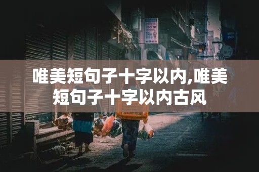 唯美短句子十字以内,唯美短句子十字以内古风