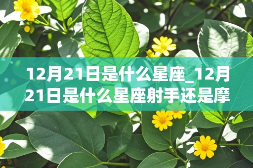 12月21日是什么星座_12月21日是什么星座射手还是摩羯