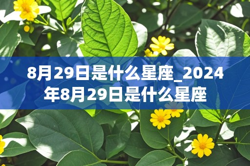 8月29日是什么星座_2024年8月29日是什么星座