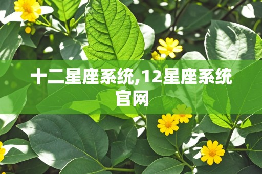 十二星座系统,12星座系统官网