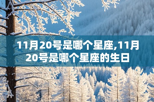 11月20号是哪个星座,11月20号是哪个星座的生日