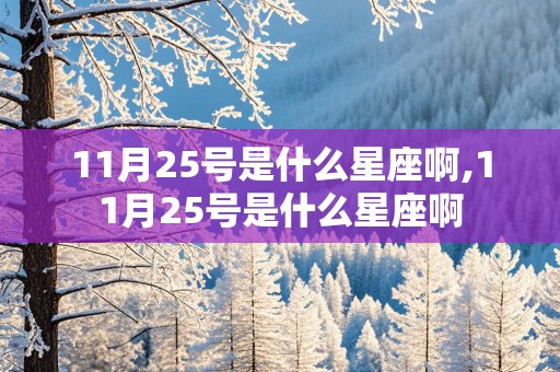 11月25号是什么星座啊,11月25号是什么星座啊