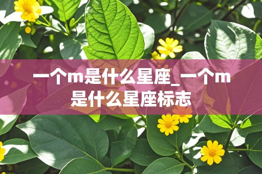 一个m是什么星座_一个m是什么星座标志