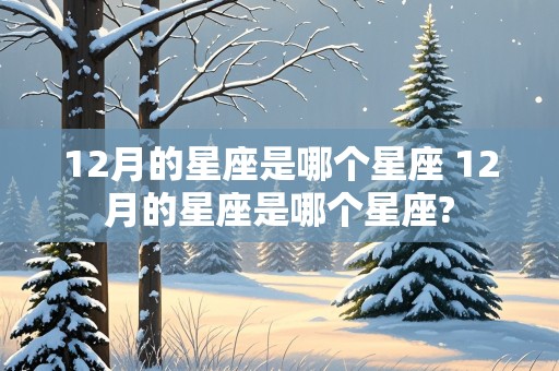 12月的星座是哪个星座 12月的星座是哪个星座?