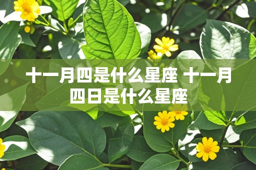 十一月四是什么星座 十一月四日是什么星座